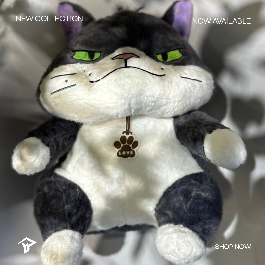 Cat Teddy