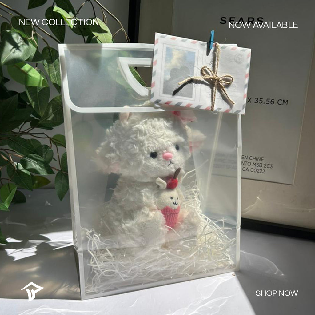 Eid Gift Bag 5