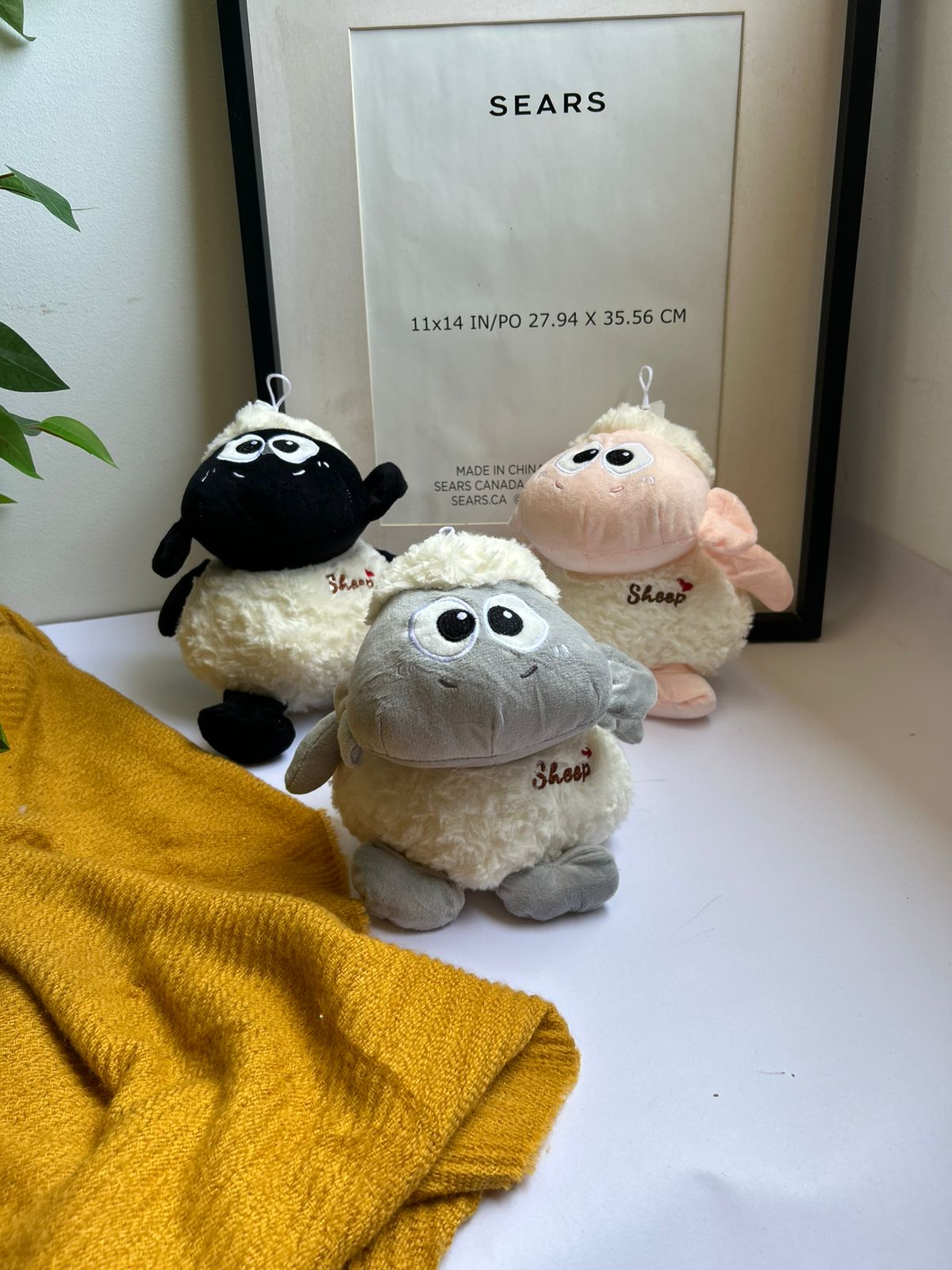 Fluffy Sheep